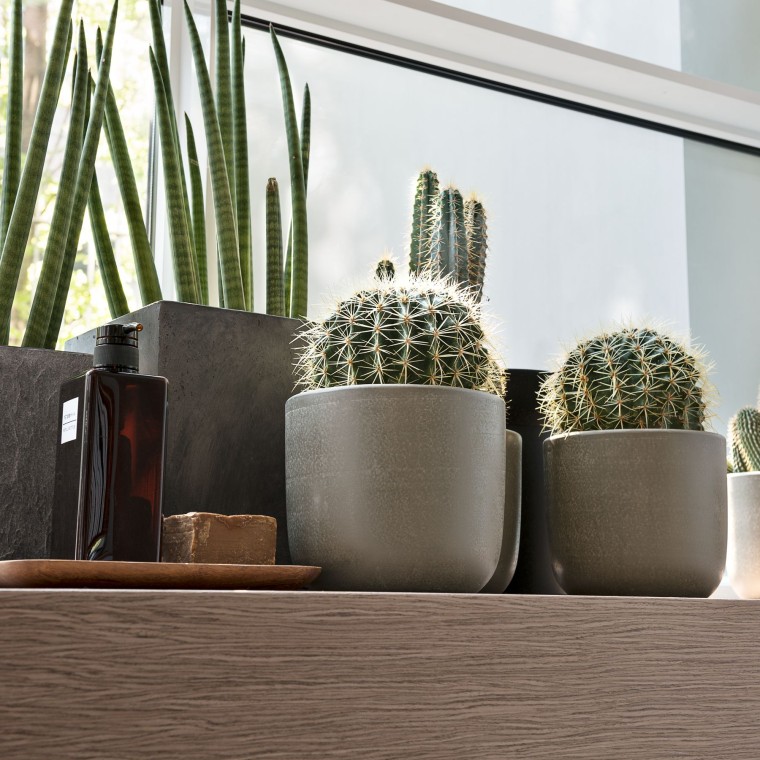 Razne biljke na prozorskoj dasci Razne biljke na prozorskoj dasci